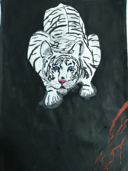 Ilustración del Cuento Infantil El tigre blanco